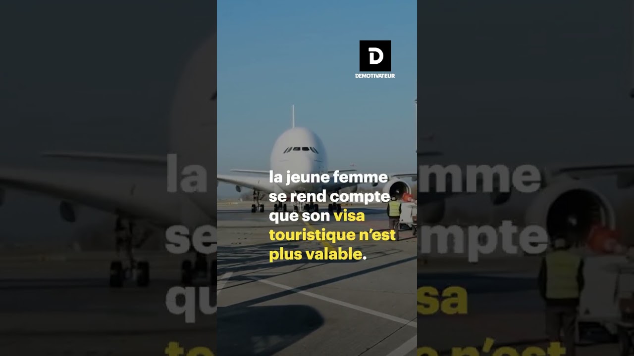 Une compagnie aérienne perd son chien à l’aéroport, il lui propose 1800 $ en échange !