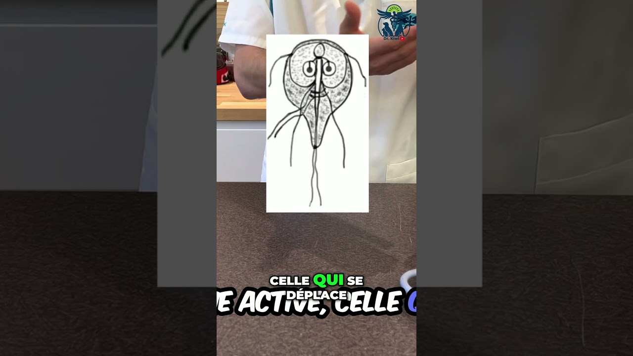 Giardia: Le parasite qui rend ton chien malade (et comment l'éviter)!