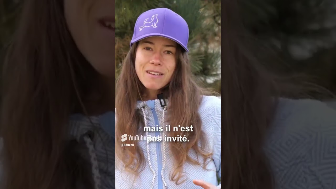 Apprendre à son #chien à s'ennuyer, à ne rien faire 🐶 #educationcanine #educateurcanin #chiens