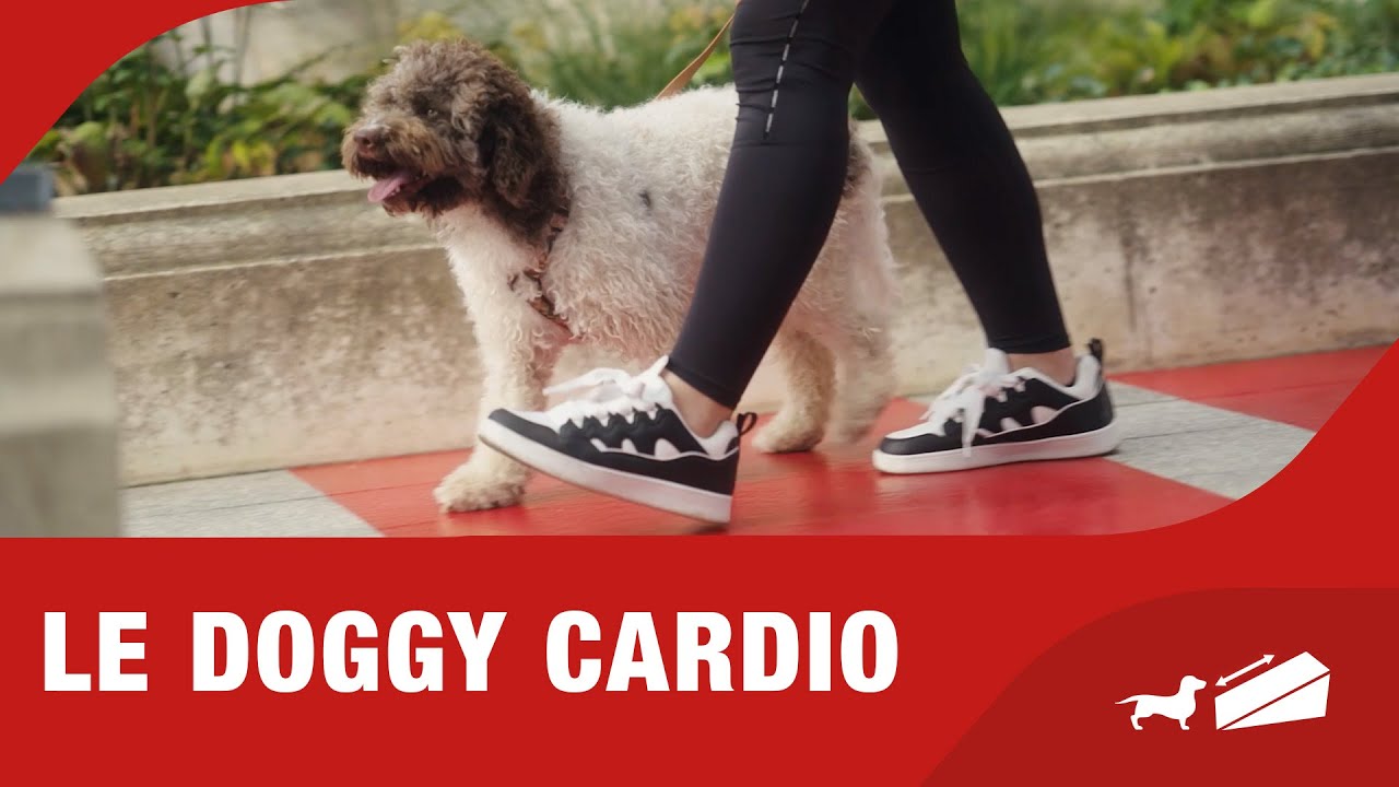 Urban Doggy Fit - EP4 - Le doggy cardio| Generali