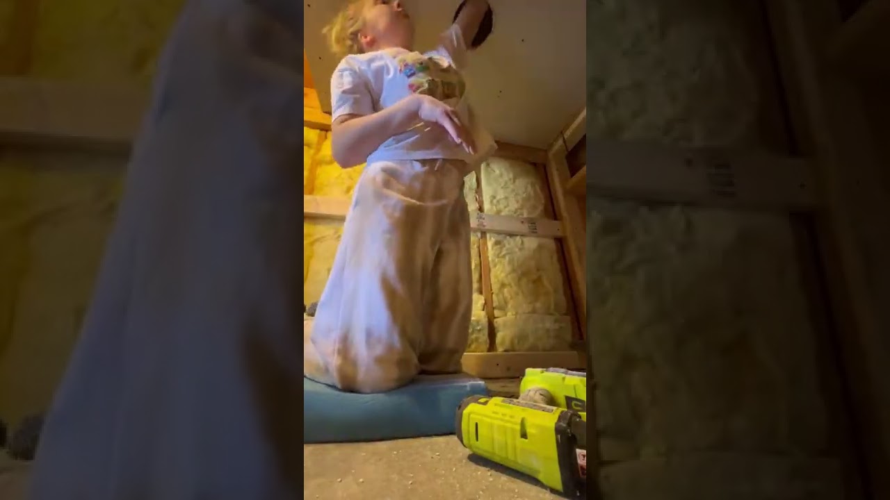 Cette femme a construit une chambre pour son chien sous l'escalier