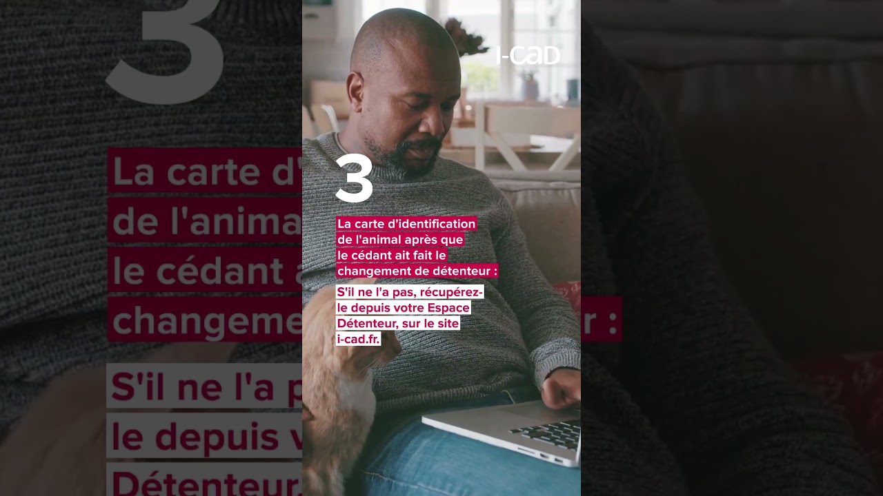 4 documents essentiels à obtenir pour adopter un animal