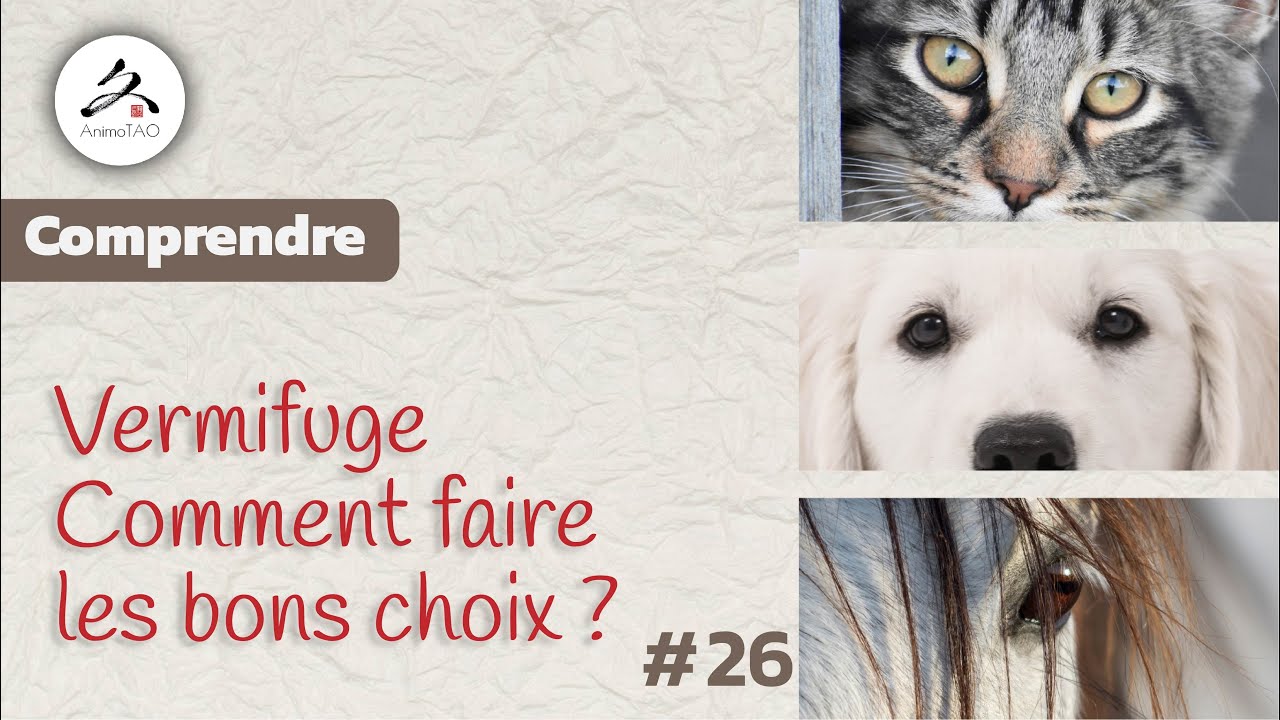 #26 Vermifuge naturel pour Chiens et Chats. Comment bien l'utiliser ?