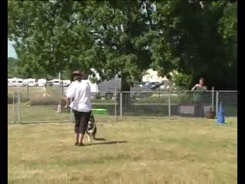 Portes ouvertes au Club Canin