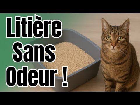 Comment réduire les mauvaises odeurs de litière naturellement ?