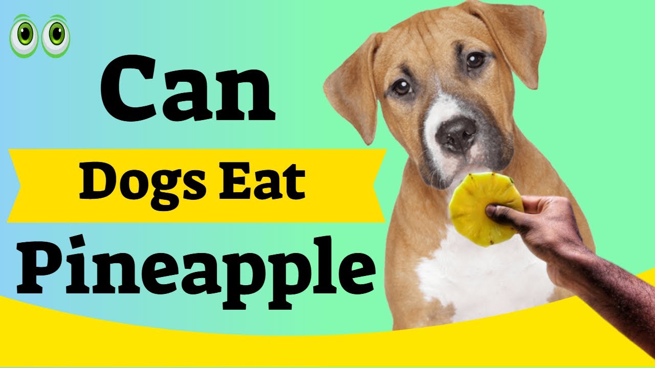 Can Dogs Eat Pineapple?