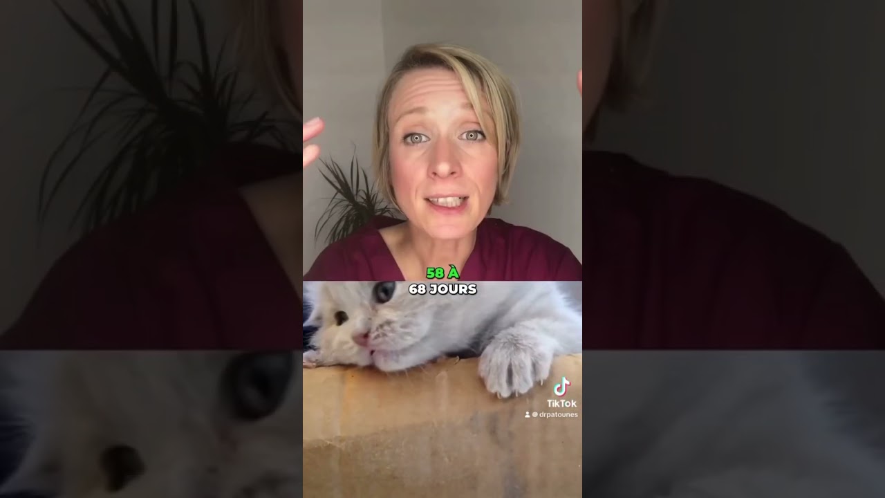 Découvre 5 signes d’une mise-bas compliquée 🐶🙀 #naissance #veterinaire #chiens  #chats