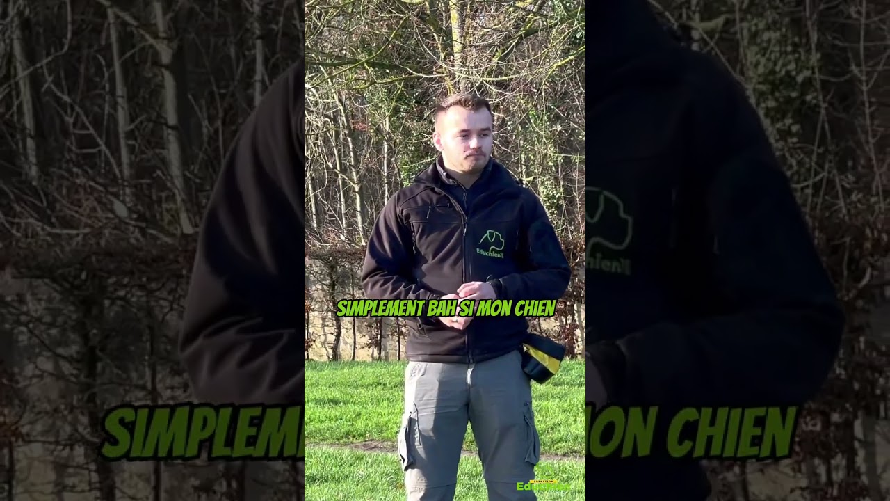 Apprendre à son chien AGRESSIF à tolérer ses congénères - EDUCHIEN