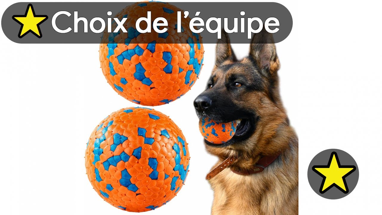🏆 TOP 3 MEILLEUR BALLE POUR CHIEN INDESTRUCTIBLE 2025 🐕