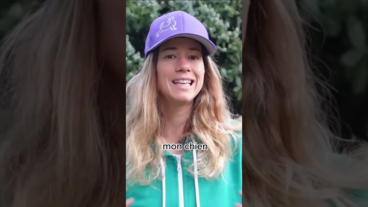 L'alternative bienveillante pour gérer le stress de ton #chien 🐕 #comportementcanin #educateurcanin