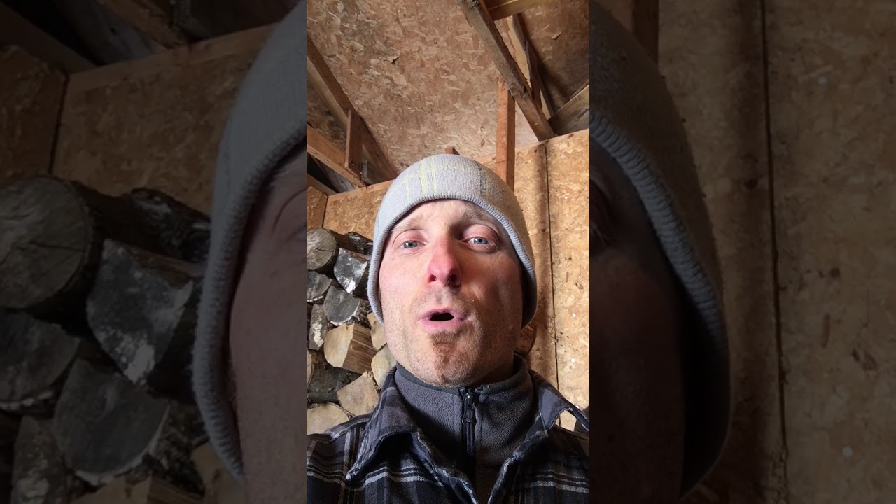 La terre de diatomée (grade alimentaire) : un must pour nos poules domestiques.