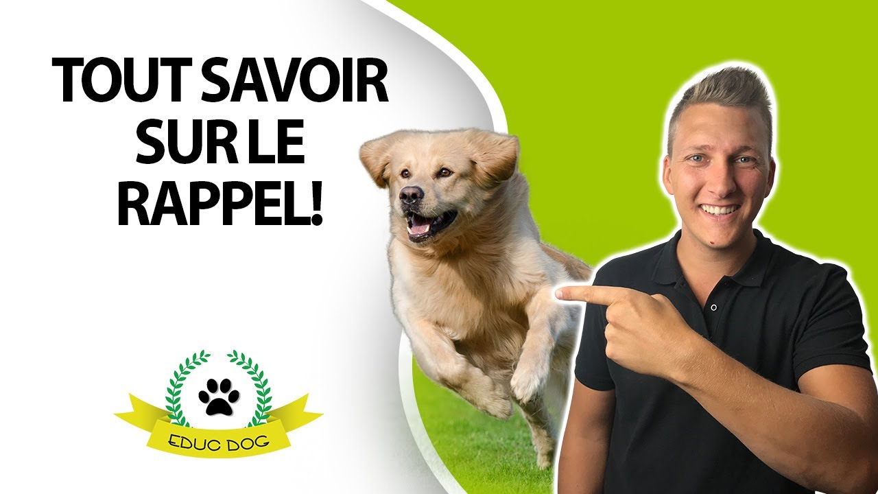 Comment tenir et utiliser une longe pour chien ?