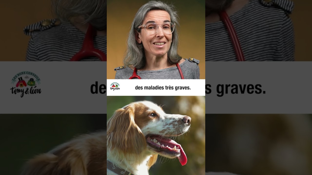 Vermifuger votre animal - Episode 1 !