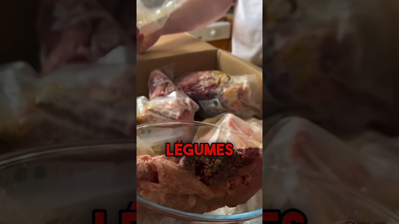 Je réponds à vos questions sur l’alimentation de mes chiens #animaux #barf