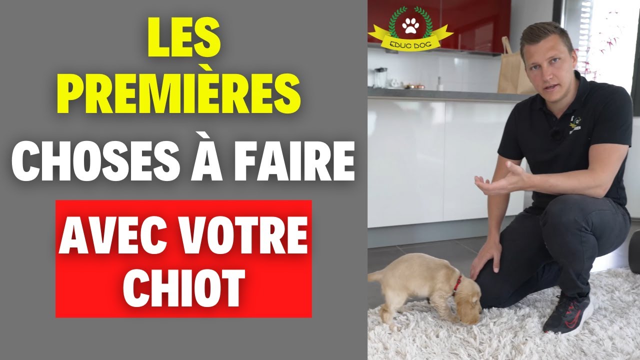 L'arrivée du chiot à la maison (erreurs et solutions)