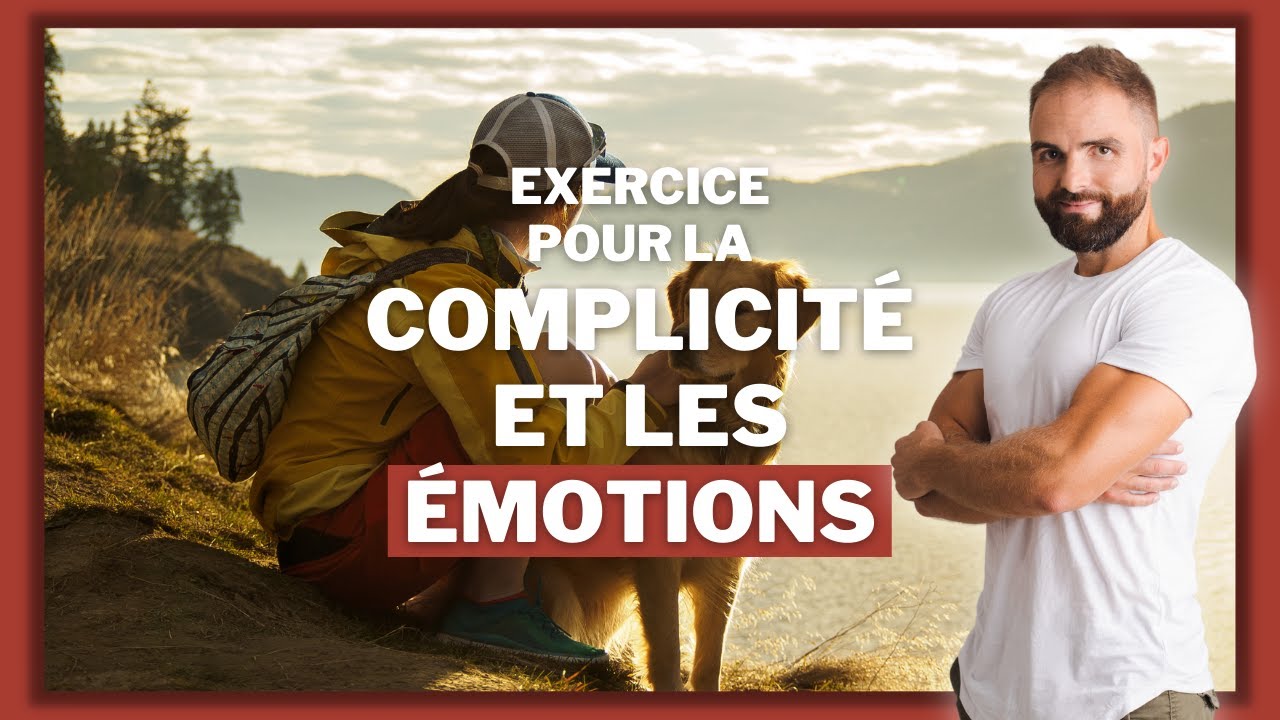 Comment devenir complice et gérer les émotions de son chien ?