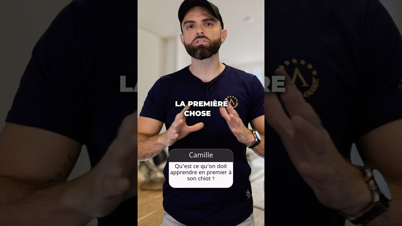 Le 1er ordre à apprendre à votre chiot !