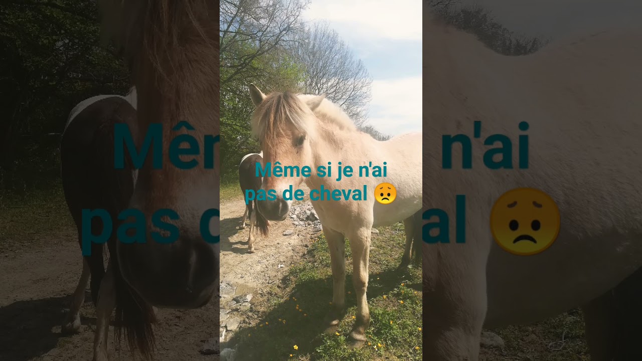 Et j'en suis fière de l'avoir rencontré☺