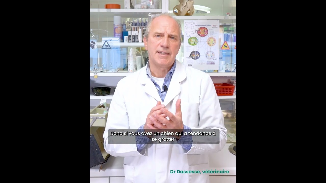 Les repas frais peuvent-ils être une solution pour les chiens sensibles ?