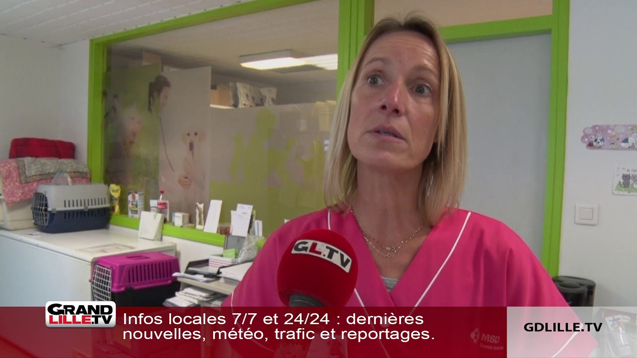 HappyVet, le vétérinaire aux tarifs solidaires