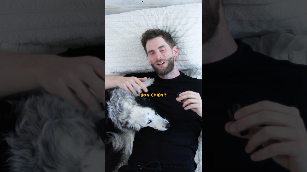 (1ere partie) DORMIR AVEC SON CHIEN: Les erreurs!  #chien