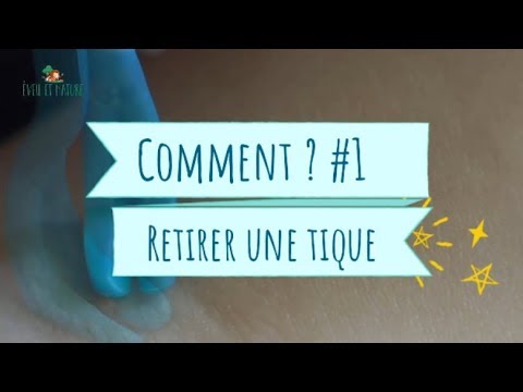 Comment retirer une tique (sans en laisser un morceau!)