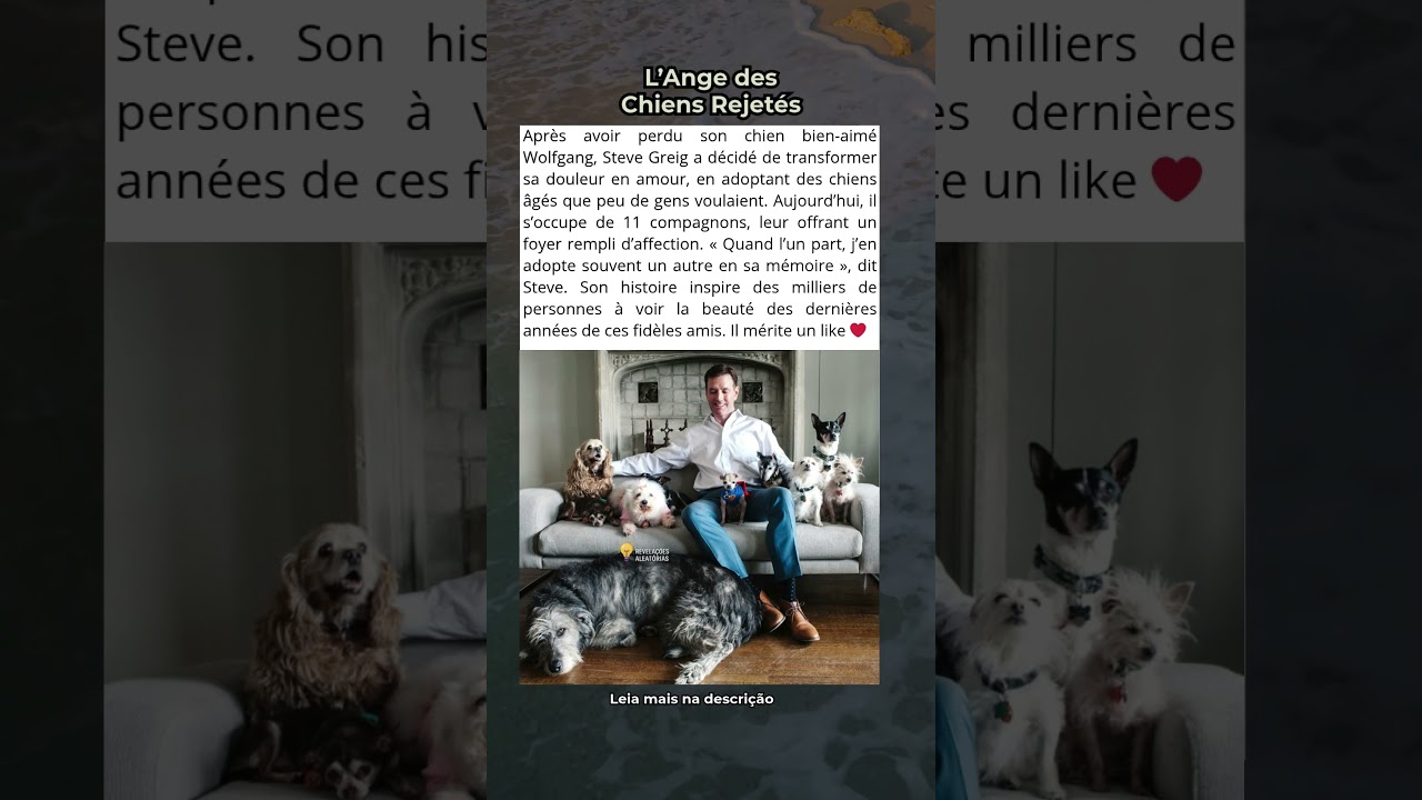 Il a Adopté Tous Ceux Que Personne Ne Voulait