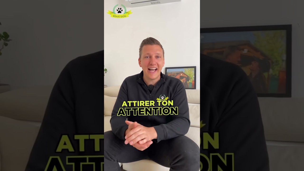 Pourquoi mon chien me fixe-t-il ainsi ? En effet, les chiens sont doués pour attirer notre attention