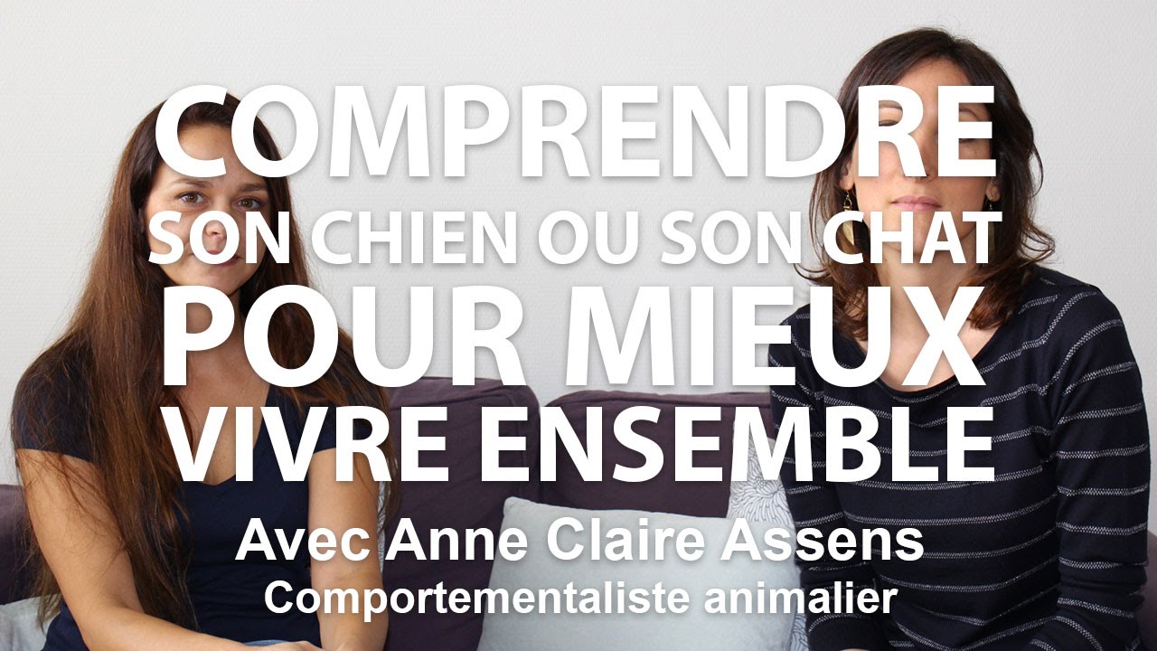Comprendre les chiens et les chats pour mieux vivre ensemble avec Anne Claire Assens