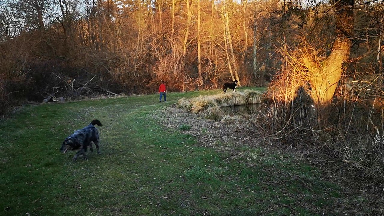 Matin Espagnol 7 mois, promenade