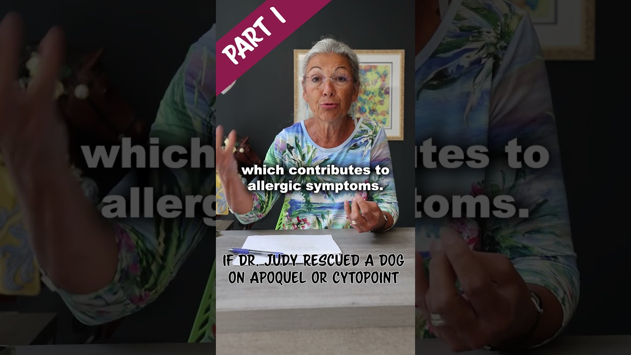 If I Rescued a Dog on Apoquel or Cytopoint (Part 1)