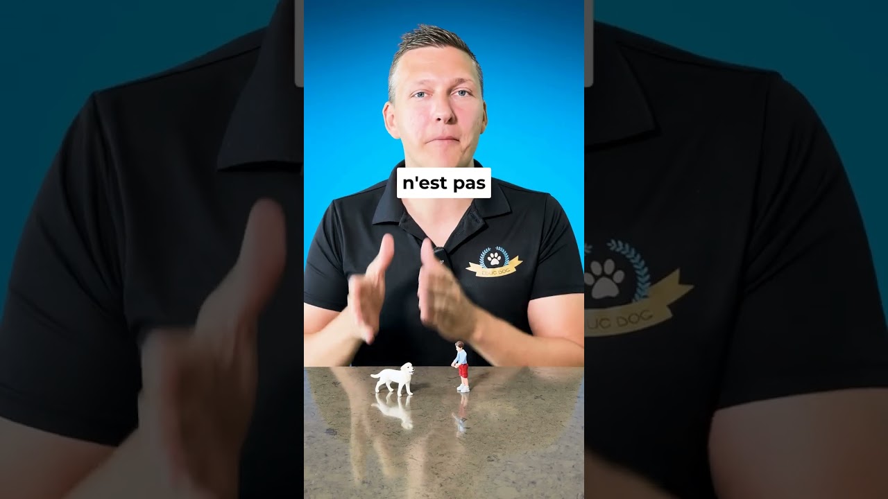 🧛🏻 Ton chiot te mordille ? Ne fais pas ces 3 erreurs ❌