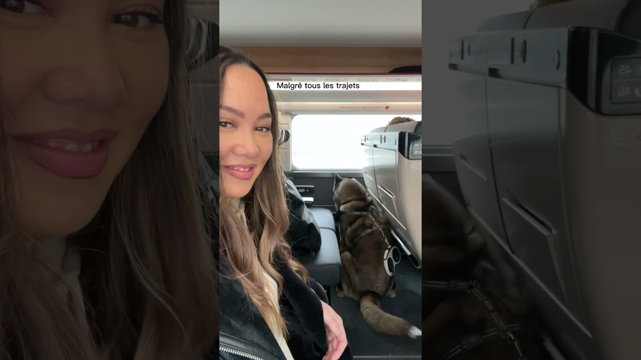 Prendre le train avec son chien 🐶 #akita #chien #sncf #astuce #voyage #animaux