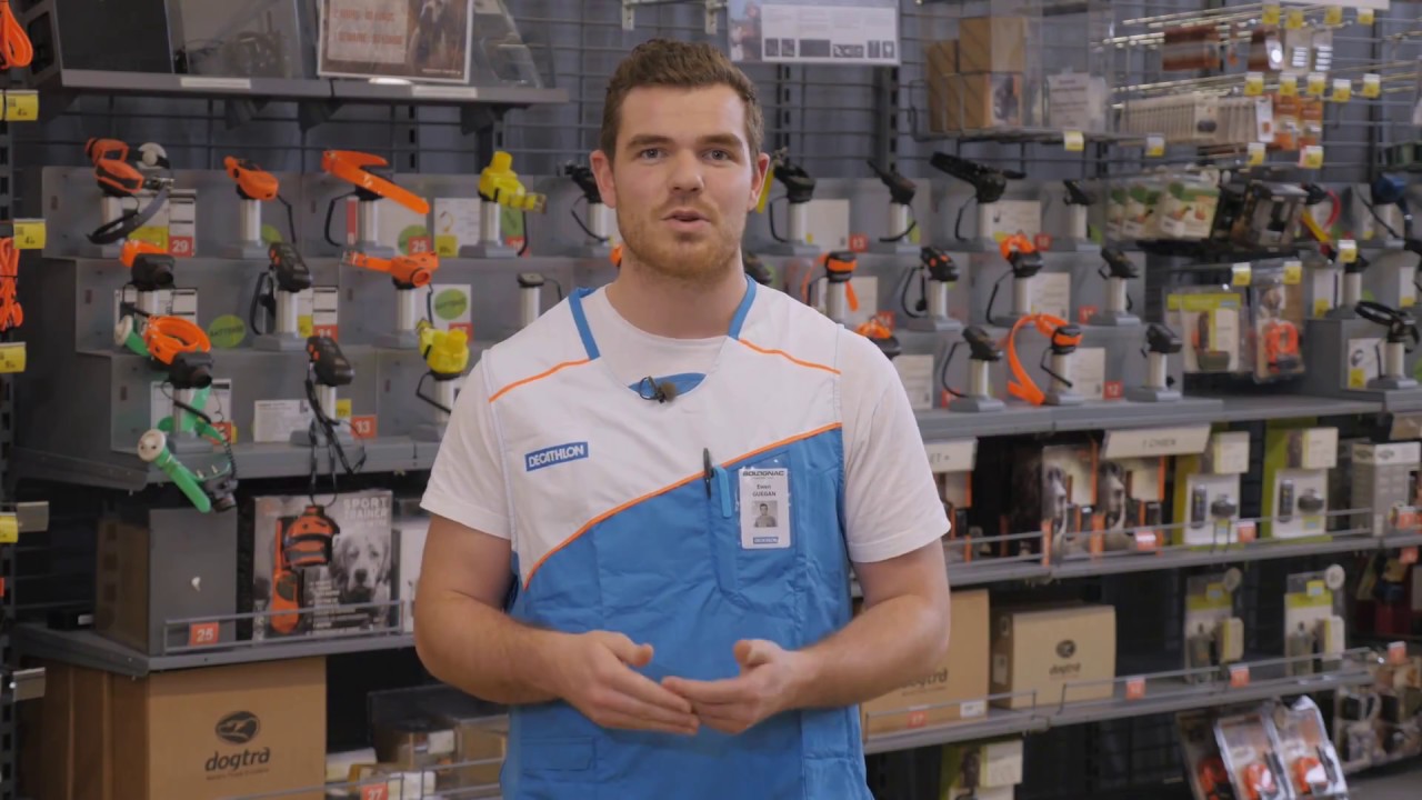 Comment choisir le collier de dressage de votre chien ?