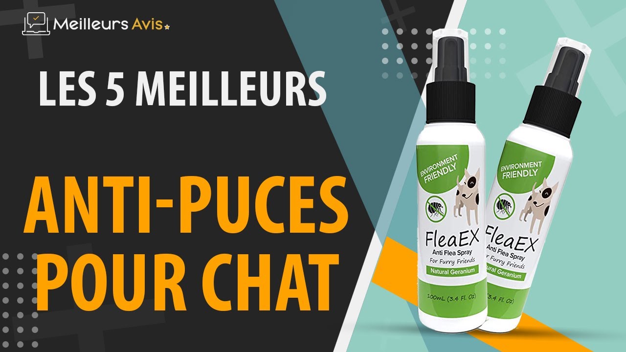 ⭐️ MEILLEURS ANTI-PUCES POUR CHAT - Avis & Guide d'achat (Comparatif 2022)