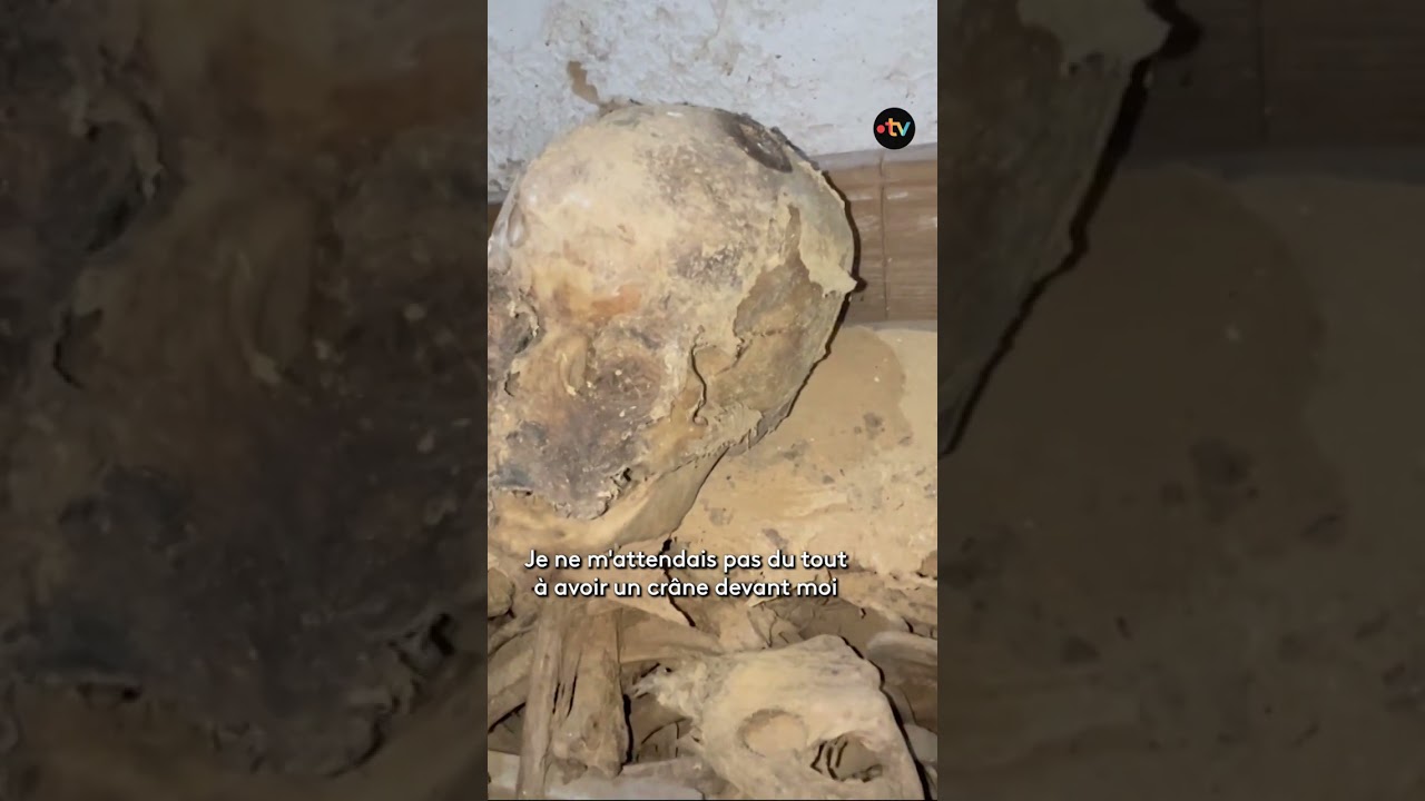 Découverte d'une crypte contenant des ossements dans une église