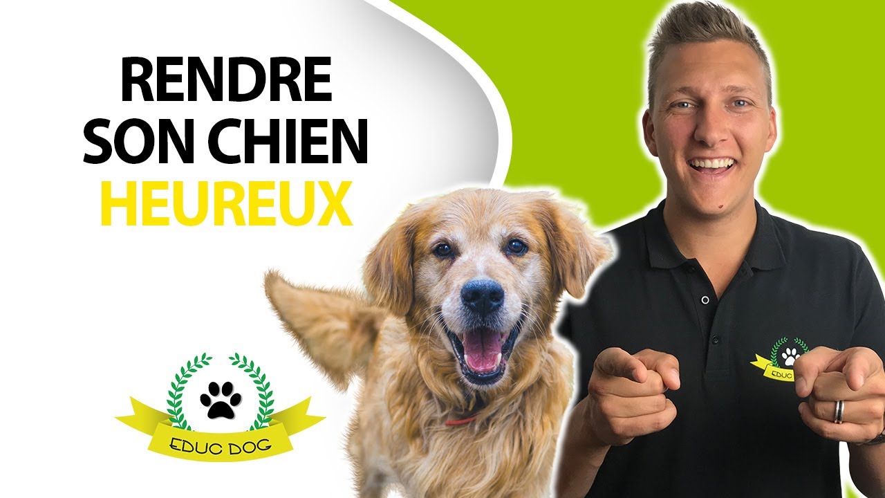 7 besoins fondamentaux du chien : comment le rendre HEUREUX ?