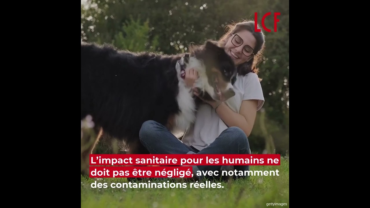 Pourquoi et comment bien vermifuger vos chiens