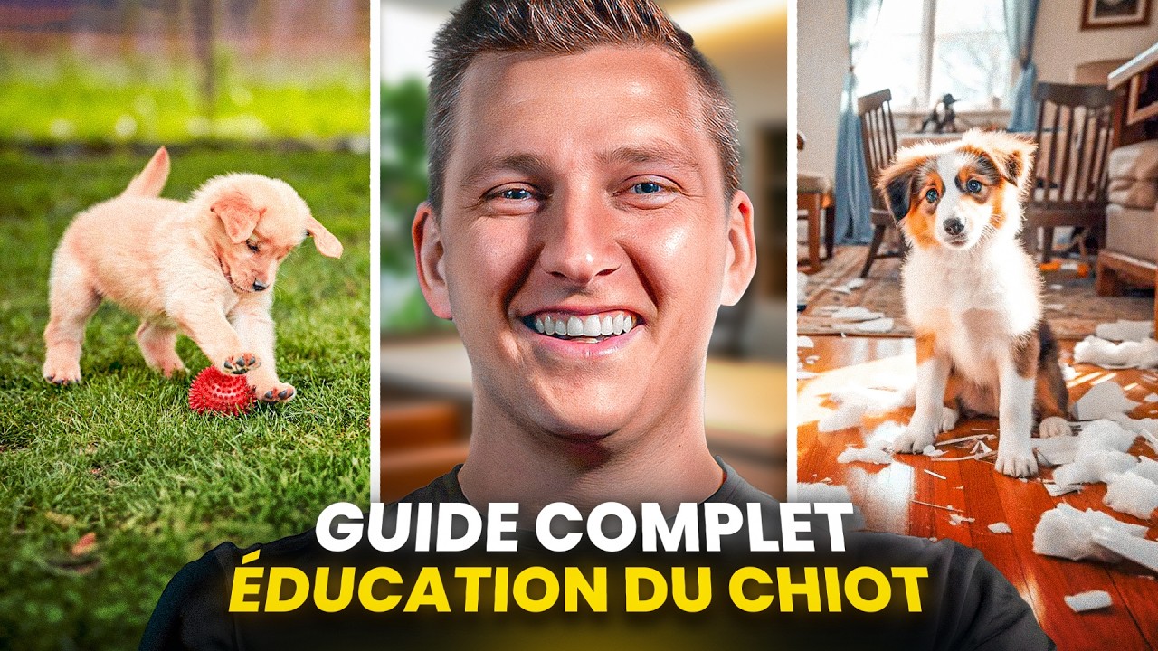 Le plan en 7 jours pour démarrer l'éducation de ton chiot