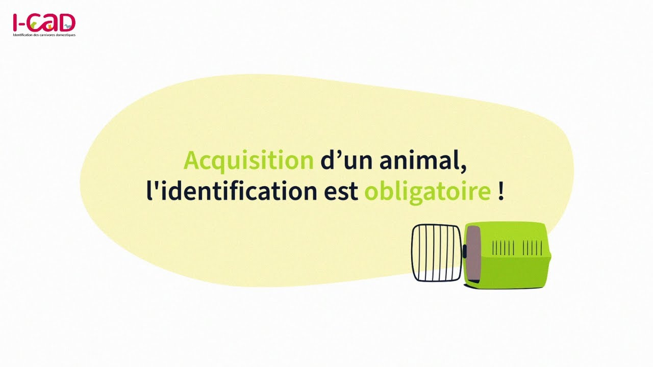 I-CAD / Acquisition d'un animal, l'identification est obligatoire !