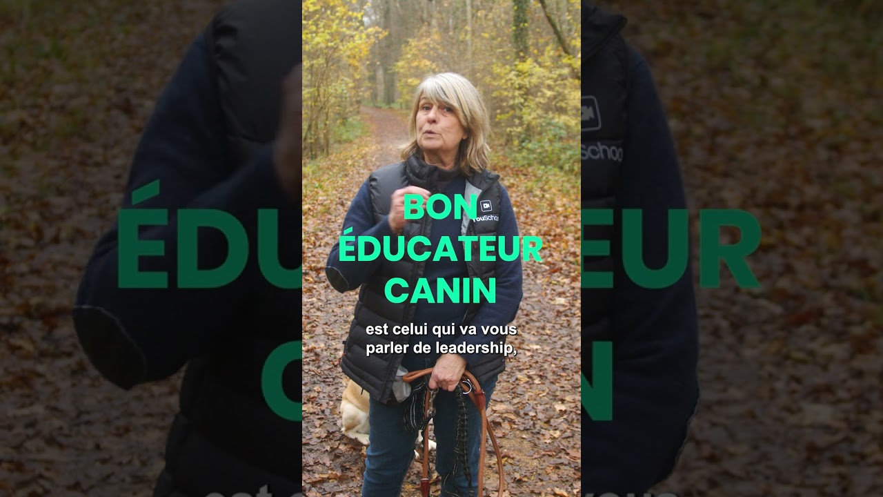 C’est quoi un bon éducateur canin ? ✅ 🐕 FORMATION ACACED #educationcanine #chien #chiens