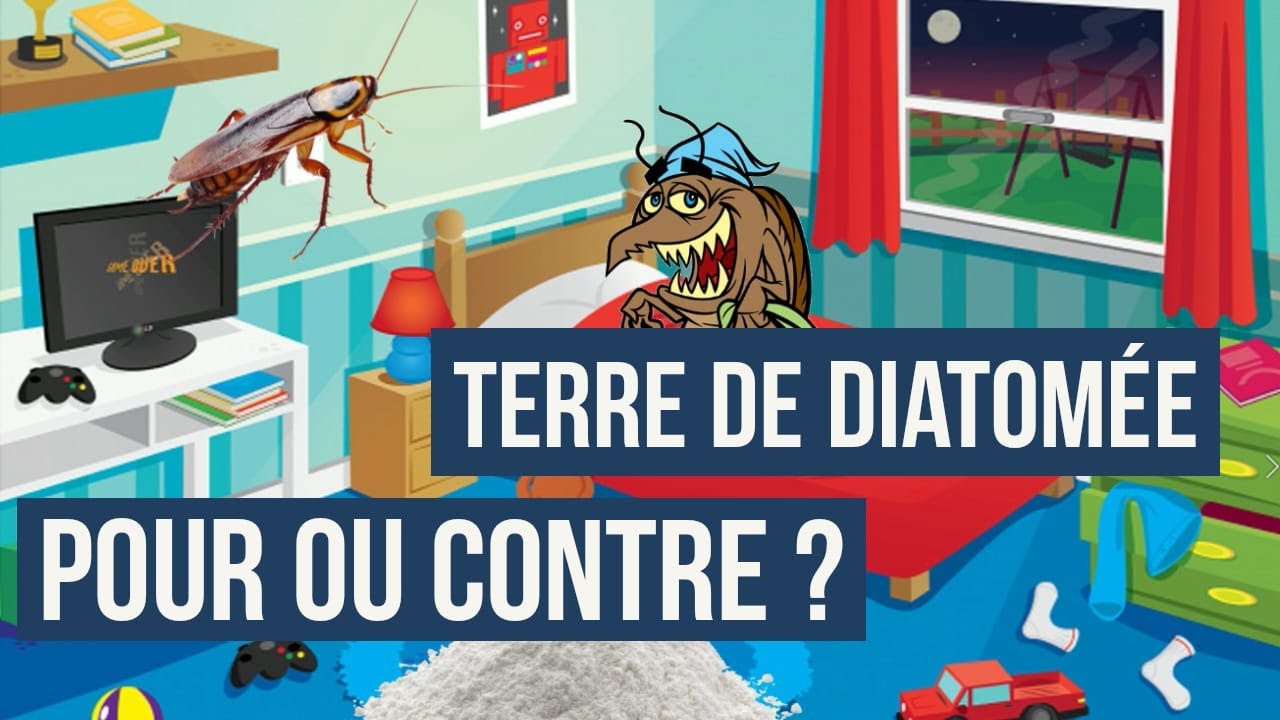 La terre de diatomée : Avantages et inconvénients en désinsectisation. Conseils et préconisations.