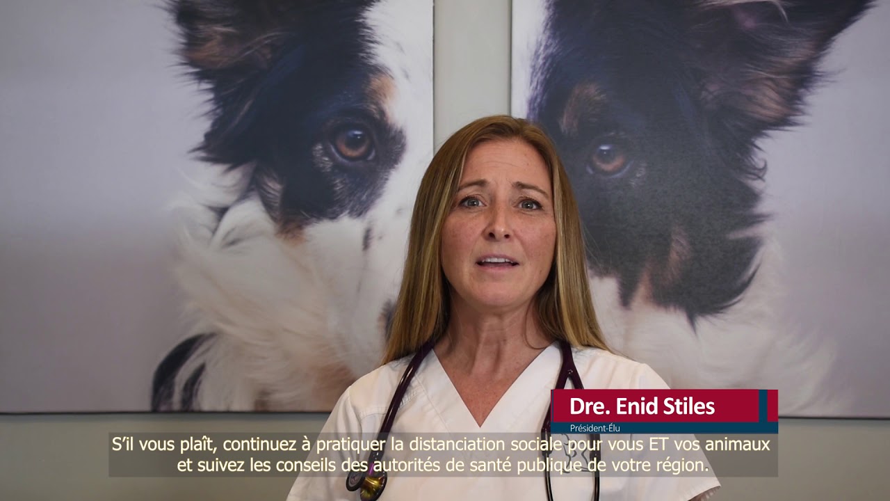 L’ACMV comprend vos inquiétudes à propos de vos animaux en cette période difficile