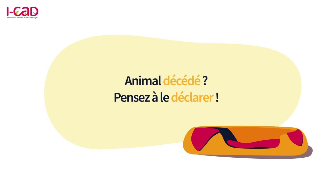 I-CAD / Animal décédé ? Penser à le déclarer !