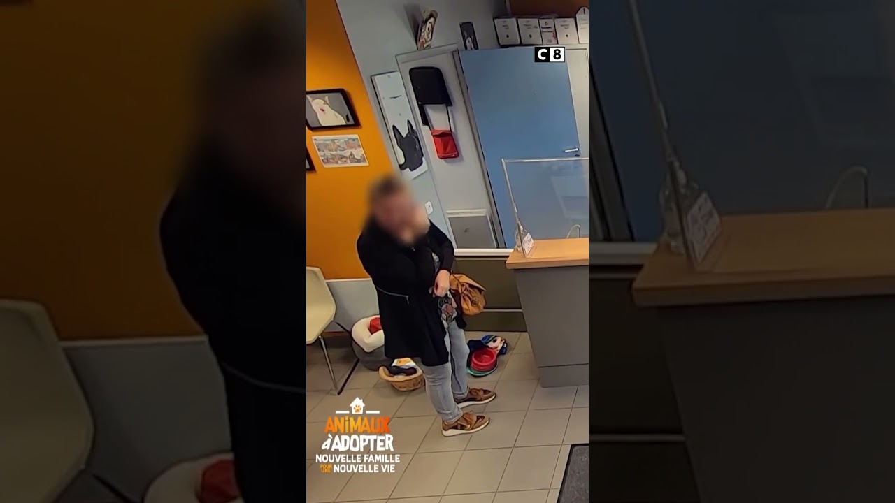 Galak se fait abandonner à la SPA par sa maîtresse, qui n’arrive plus à gérer sa surdité… 😢