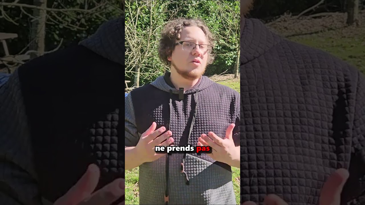 Le Maître IDÉAL du Border Collie