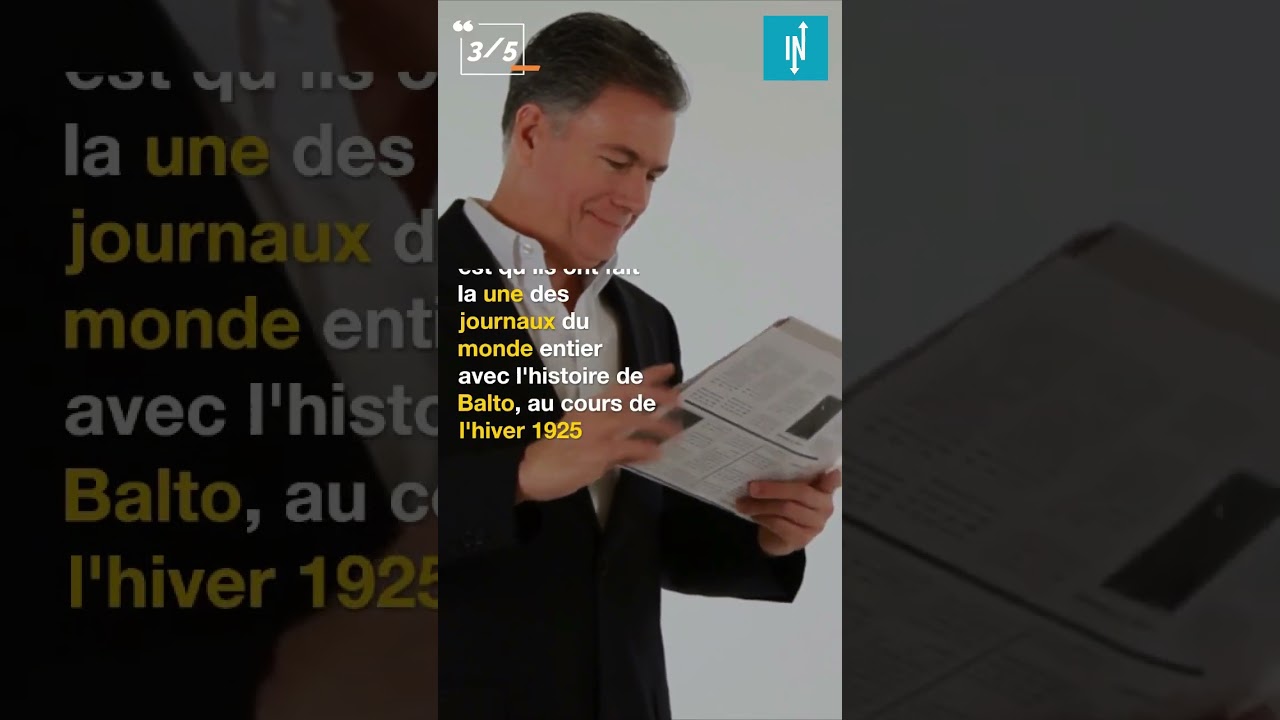 Top 5 des faits à savoir sur les huskies