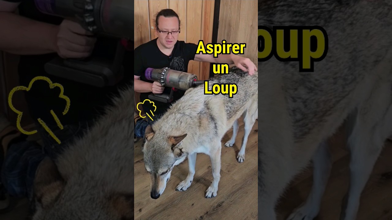 On ASPIRE un Chien-Loup