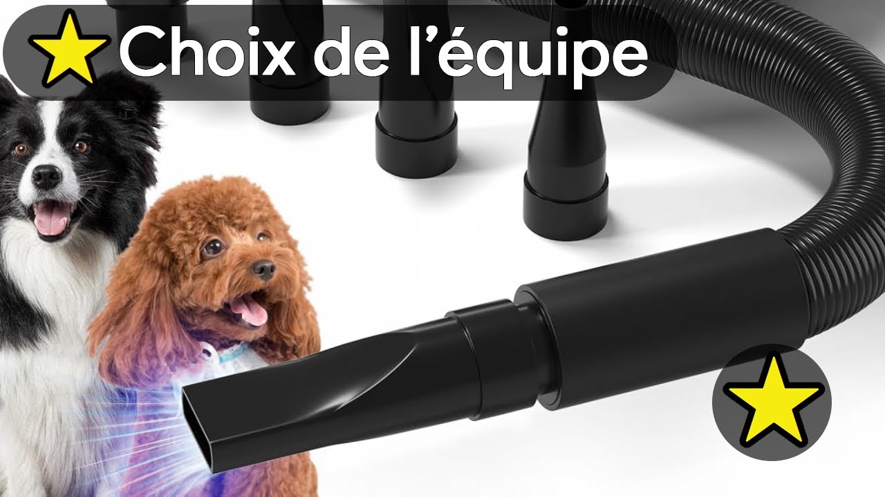 🏆 TOP 3 MEILLEUR PULSEUR POUR CHIEN 2025 🔥