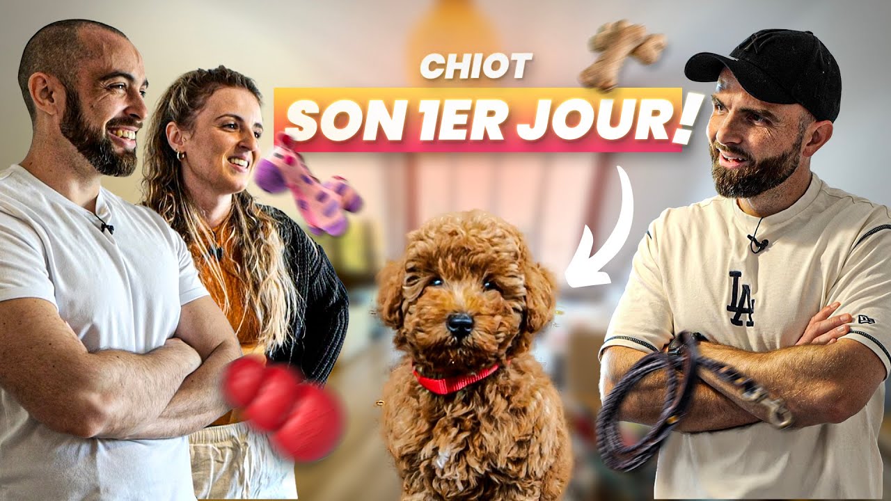 Accueillir un chiot : le 1er jour parfait ! ft. Amistory